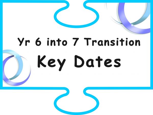 Transition Timeline